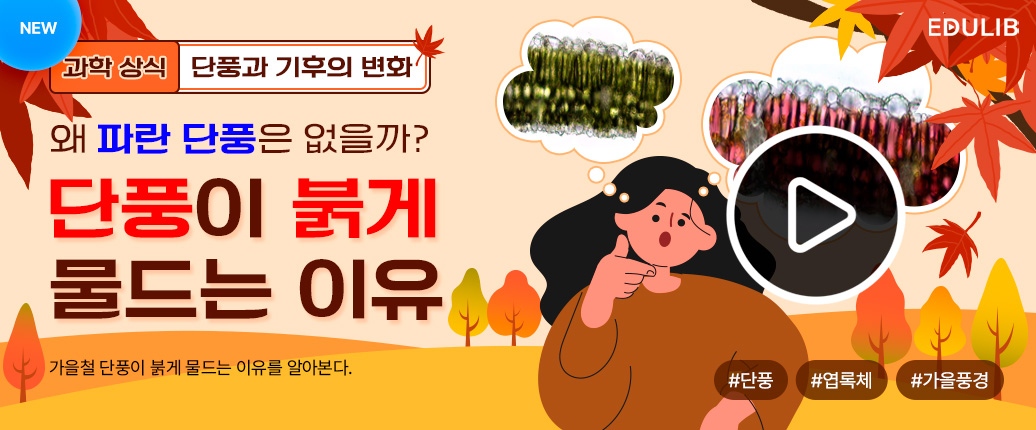 단풍이 붉게 물드는 이유