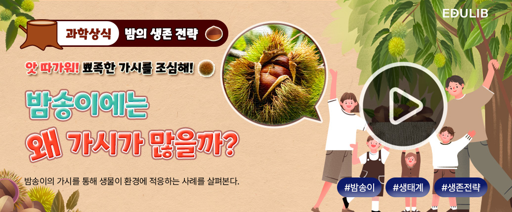생물은 환경에 어떻게 적응될까요?