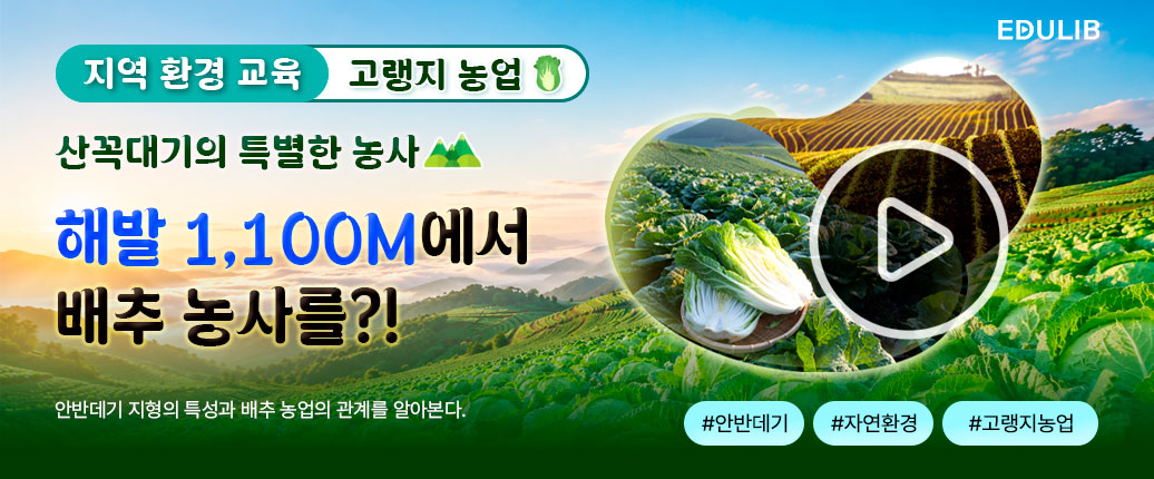 안반데기 고랭지 농업